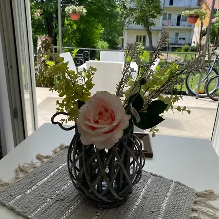 Garden * Zarkovo